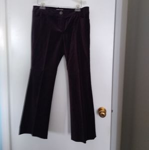 Loft purple velvet pants